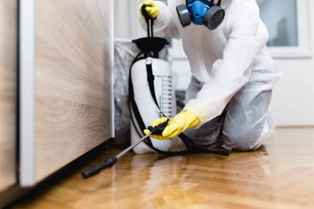 Best Exterminator Services  in Converse, TX