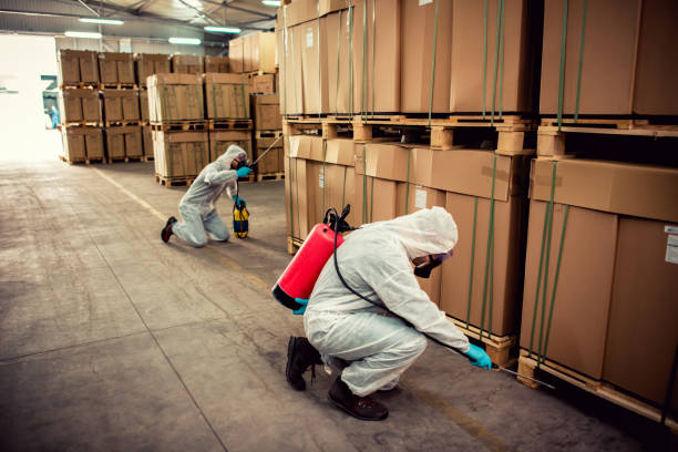 Wildlife Control Services in Converse, TX