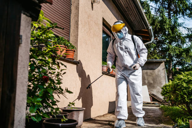 Best Local Pest Control Services  in Converse, TX