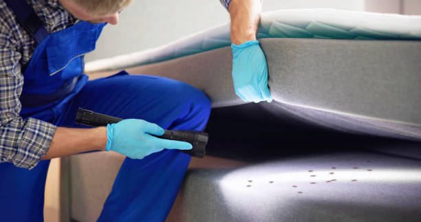 Best Pest Prevention Services  in Converse, TX